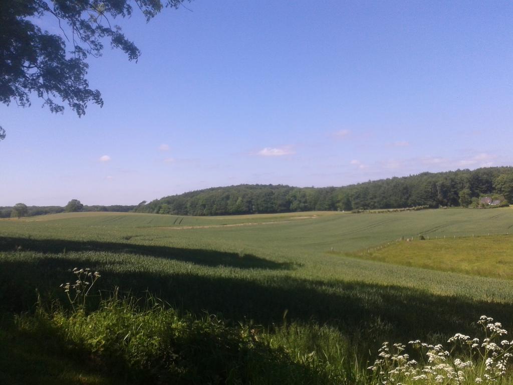 Ostsee Reetkate Langballig 部屋 写真