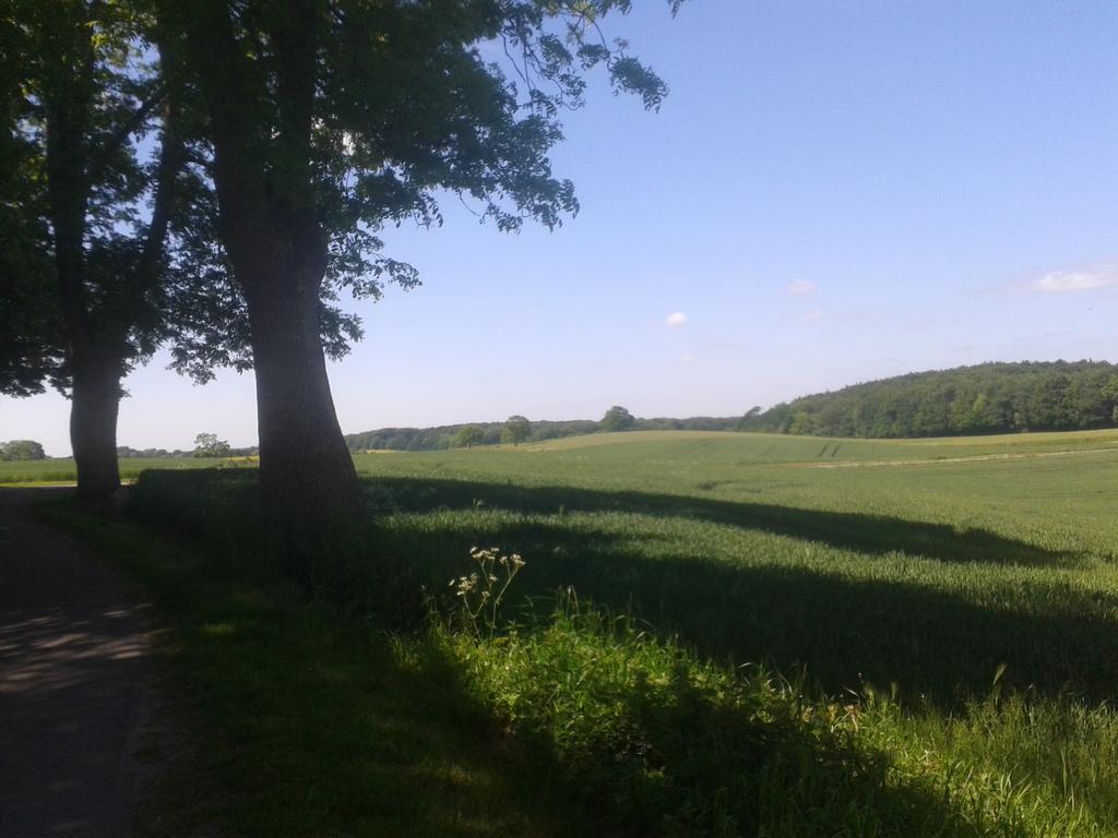 Ostsee Reetkate Langballig 部屋 写真